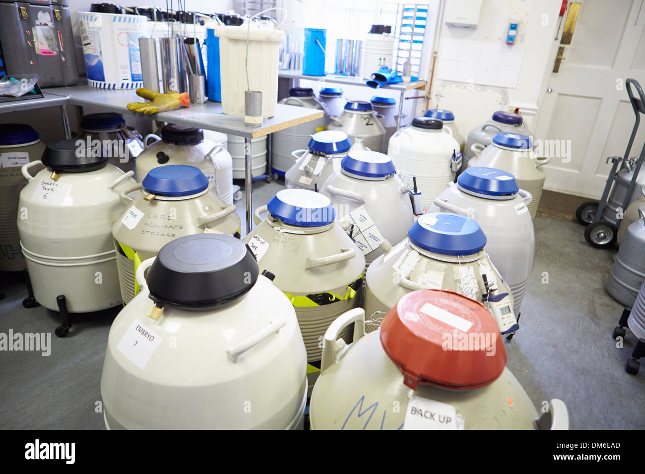 Sperm storage facility